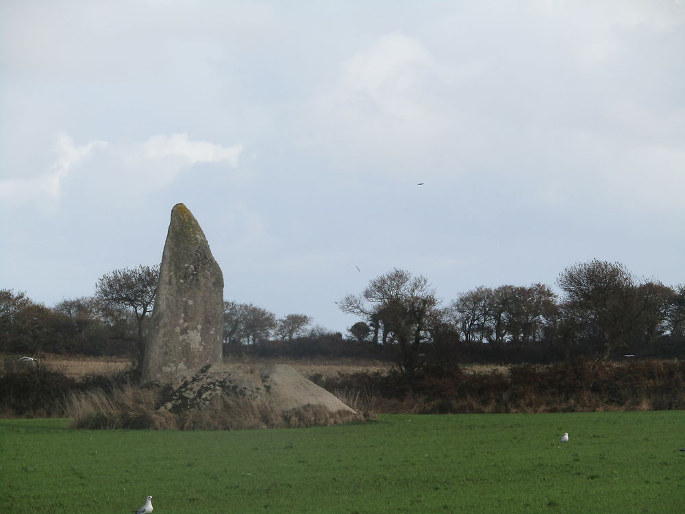 Menhir de Kervignien Bras