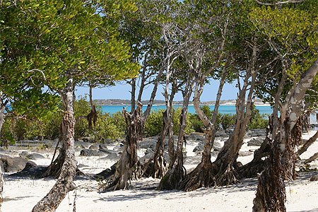 Jogolo beach Jogolo beach