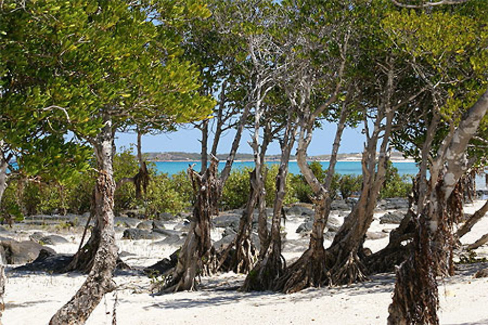 Jogolo beach