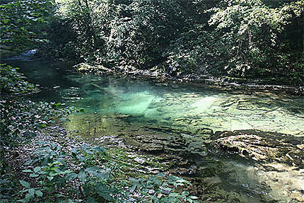 La rivière Radovna