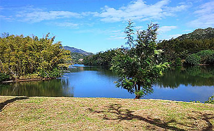 Rivière de la Ponérihouen Nouvelle Calédonie