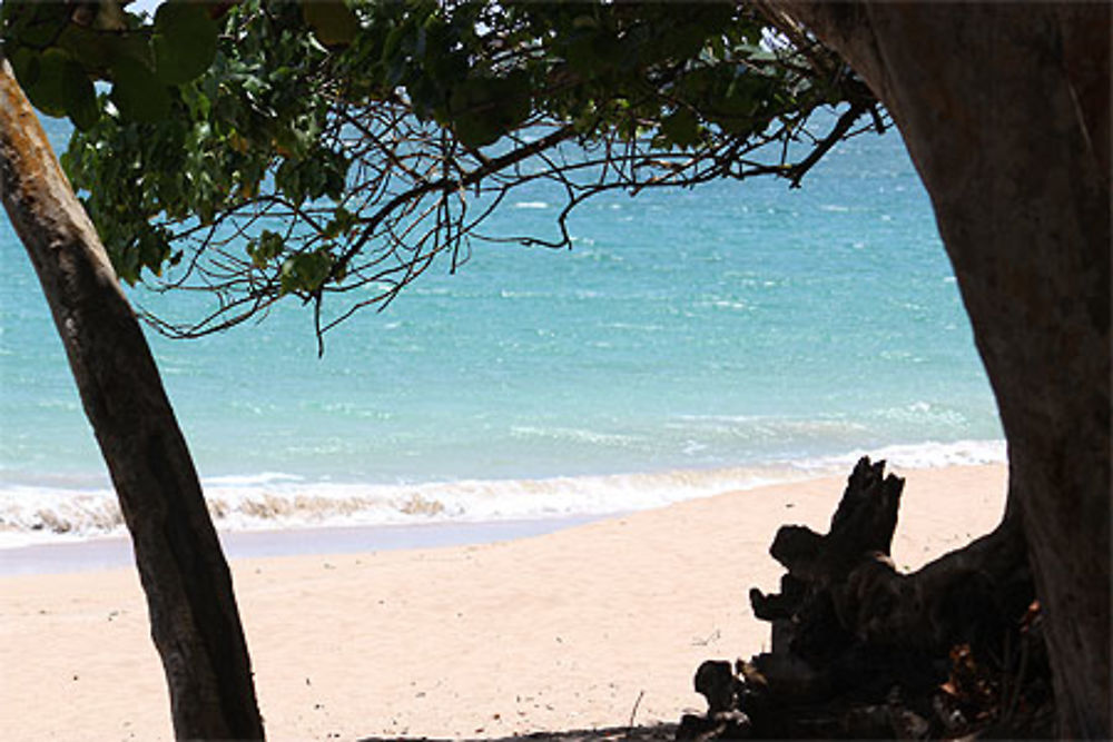 Plage de clugny