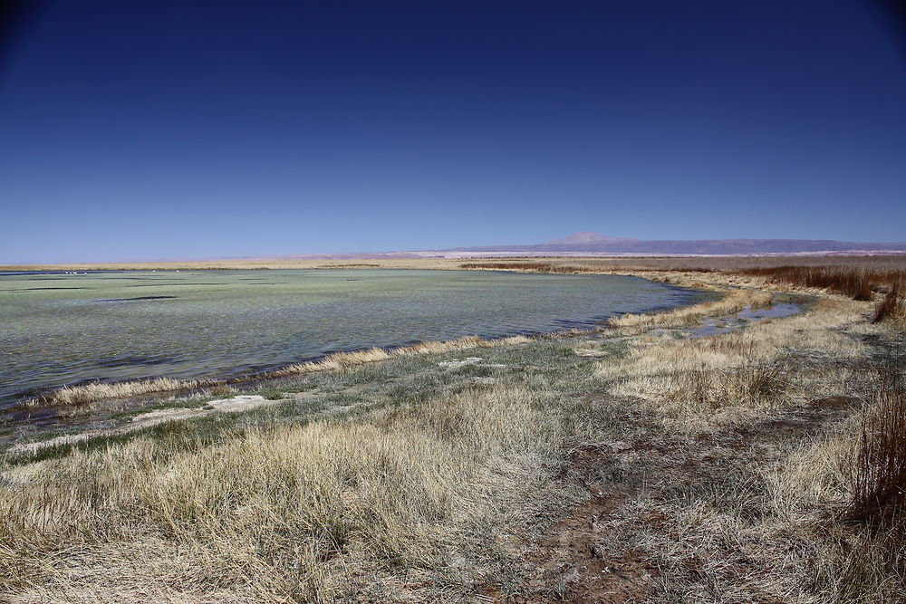 Autour de San Pedro d'Atacama