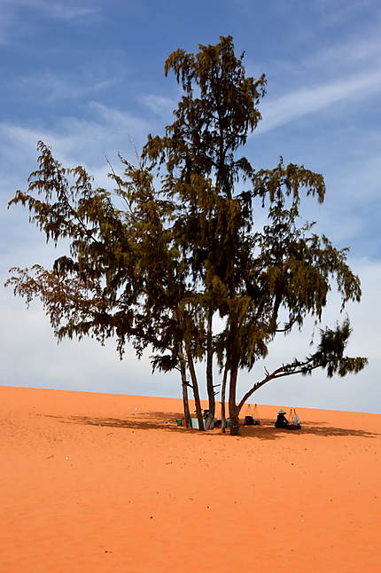 Sur les dunes de Mũi Né