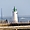 Le phare et la rangée de mouettes à Quiberon