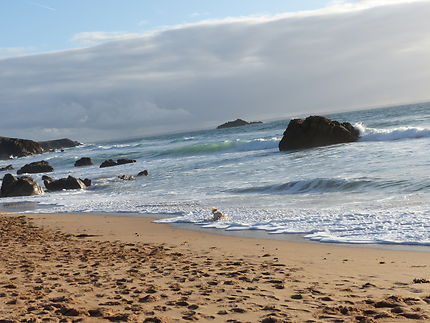 Plage de rêve 