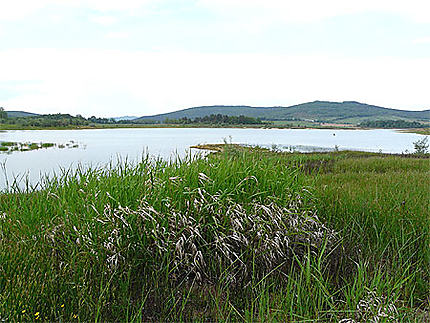 Lac de Montbel