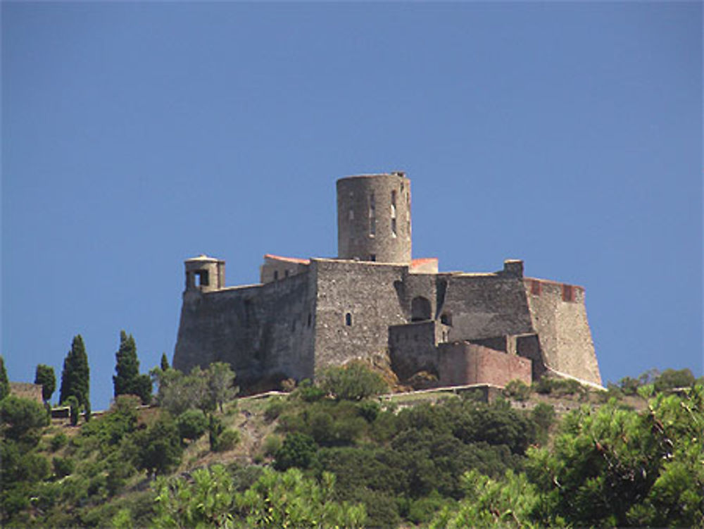 Forteresse dominant Collioure