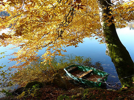 Couleurs d'automne - Lac de Bonlieu Couleurs d'automne - Lac de Bonlieu