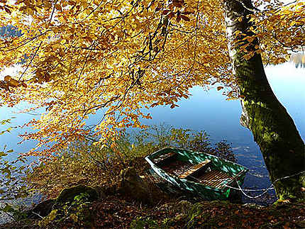 Couleurs d'automne - Lac de Bonlieu