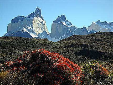 Parc National Torres del Paine, les Cuernos
