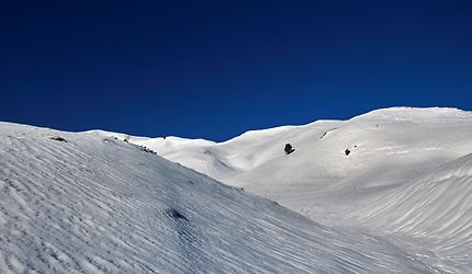 Désert de Glace