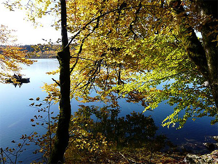 Lac de Bonlieu en automne Lac de Bonlieu en automne