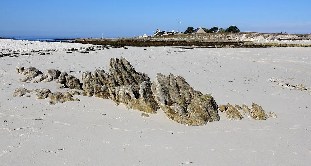 Re: Souvenirs d’escapades en Bretagne, principalement dans le sud du Finistère. (seconde partie)  De Concarneau … aux îles des Glénan. - jem