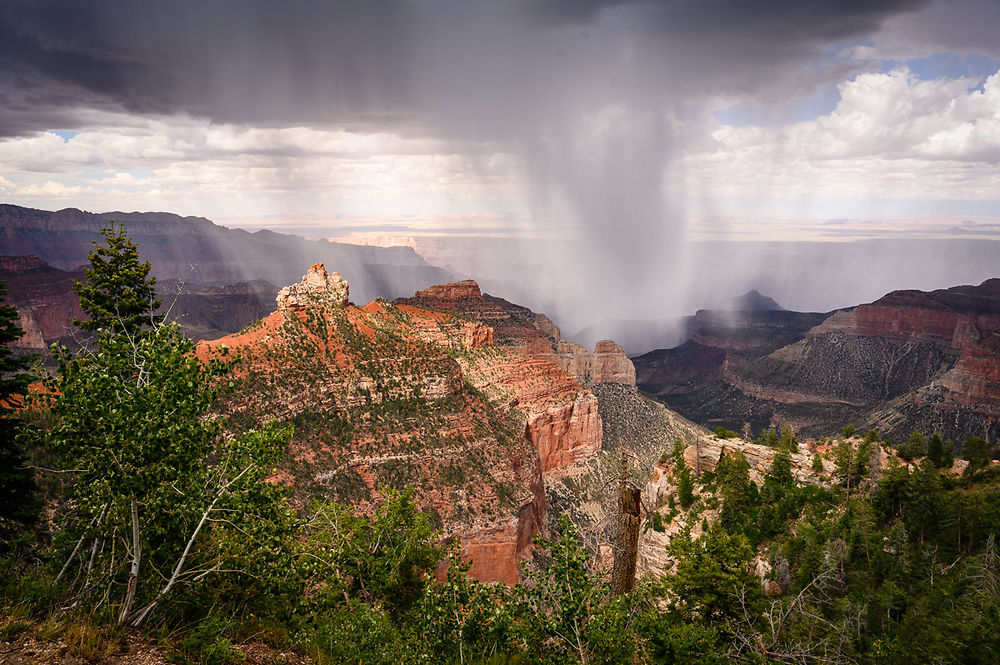 Jeudi 11 août (suite) : Grand Canyon North Rim - darth