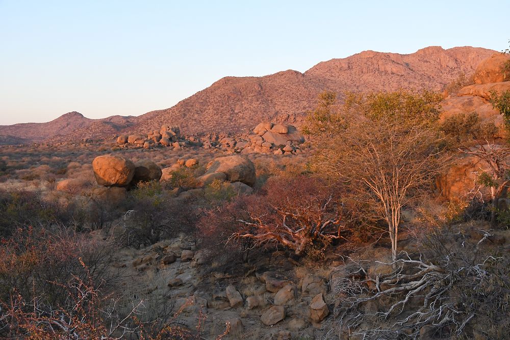 Re: Retour rapide d'un voyage magnifique en Namibie - Botswana (Chobe) - Chutes Victoria - fifi27