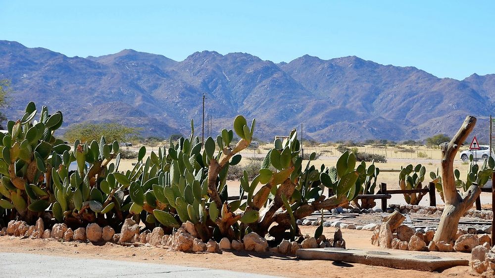 Re: Namibie Juin 2018 - Un Voyage Fabuleux ( suite & fin) - Iznogoed