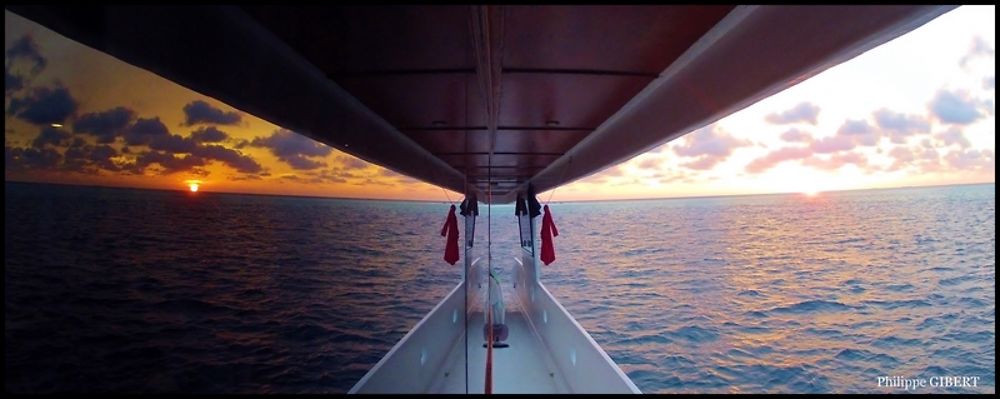 Effet Miroir :-) in board !! - Philomaldives Guide Maldives Effet Miroir :-) in board !! - Philomaldives Guide Maldives
