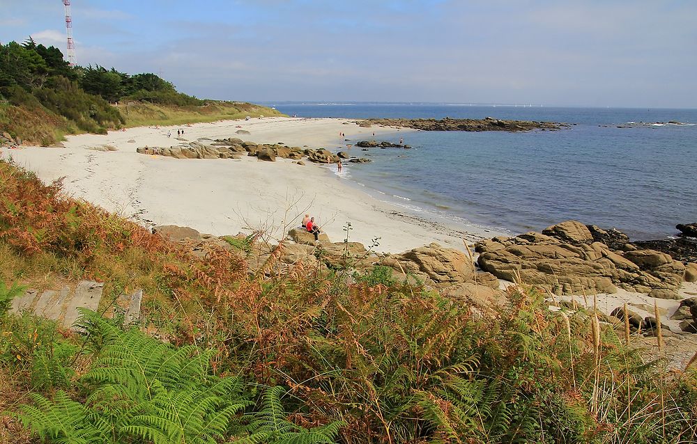 Re: Souvenirs d’escapades en Bretagne, principalement dans le sud du Finistère. (seconde partie)  De Concarneau … aux îles des Glénan. - jem