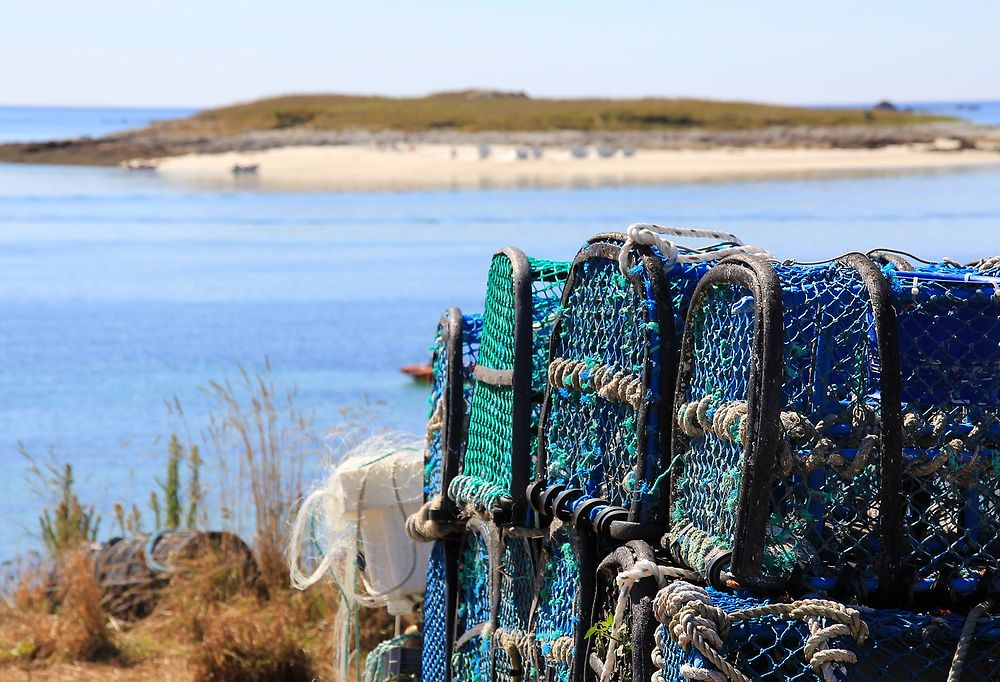 Re: Souvenirs d’escapades en Bretagne, principalement dans le sud du Finistère. (seconde partie)  De Concarneau … aux îles des Glénan. - jem