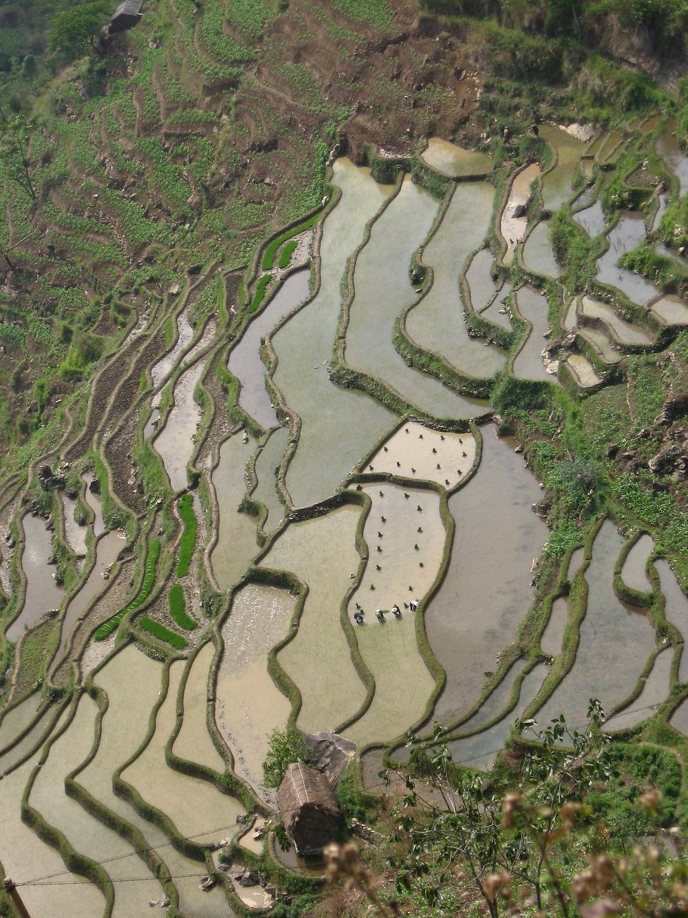 Re: Climat et itinéraire Yunnan juin (Chine) - yensabai