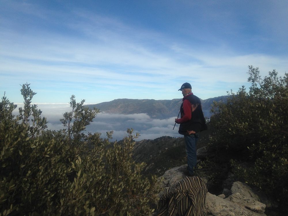 Re: le sommet naturel (gite rural du rif marocain) vers chefchaouen - paloma2 Re: le sommet naturel (gite rural du rif marocain) vers chefchaouen - paloma2