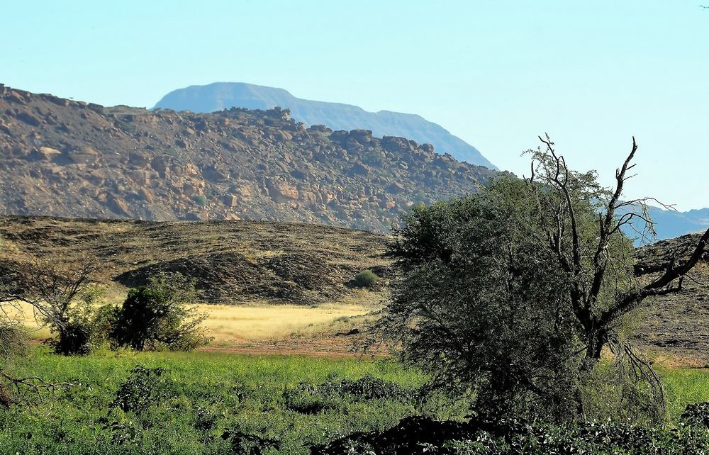 Namibie Juin 2018 - Un Voyage Fabuleux ( suite) - Iznogoed