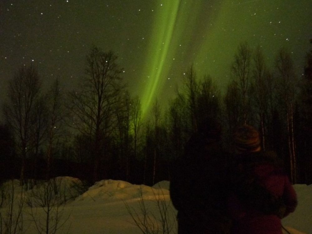 Voyage multi-activités en Laponie finlandaise chez l'habitant - Joh et Max