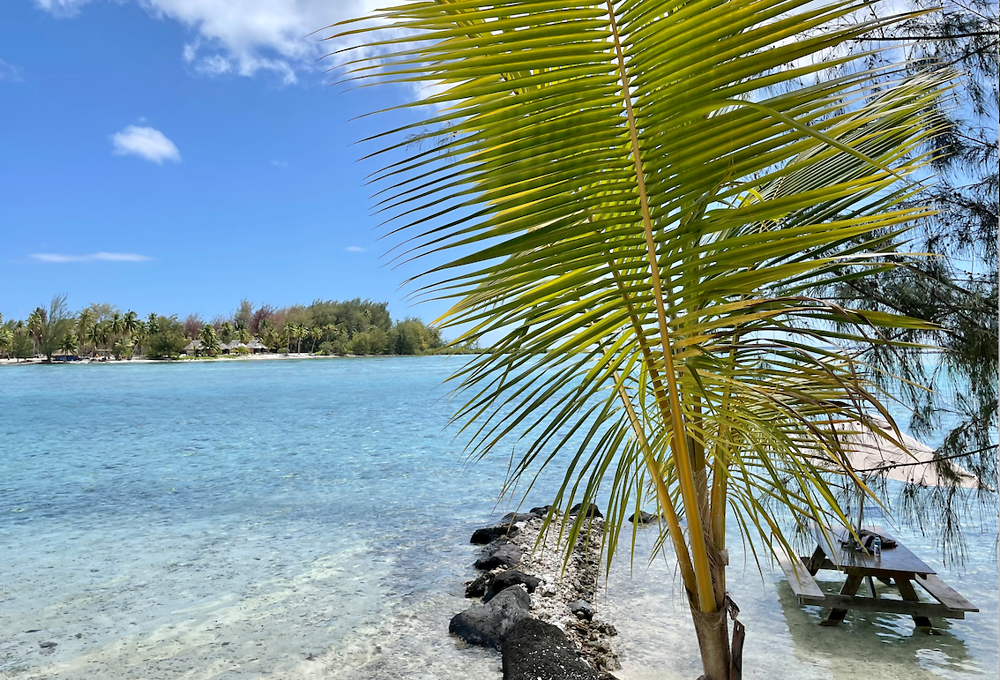 Retour de POLYNÉSIE : BORA-BORA (2) - PATOUTAILLE