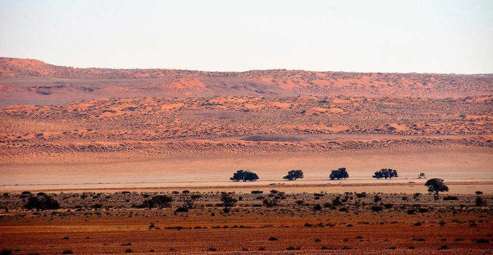 Re: Namibie Juin 2018 - Un Voyage Fabuleux  (Début)   - Iznogoed