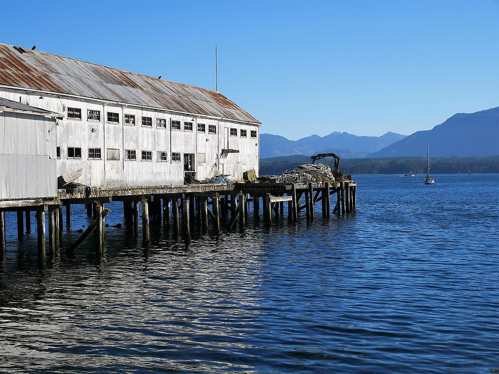 (suite de la suite...) L'Ouest canadien à pleins poumons: épisode 3, l'île de Vancouver et Vancouver - fabienne65