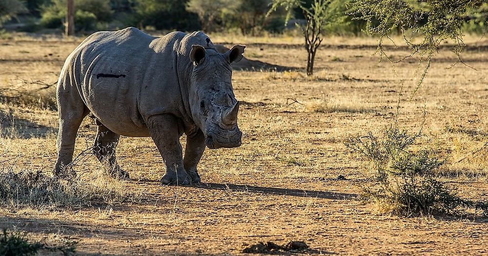 Namibie Juin 2018 - Un Voyage Fabuleux ( suite) - Iznogoed