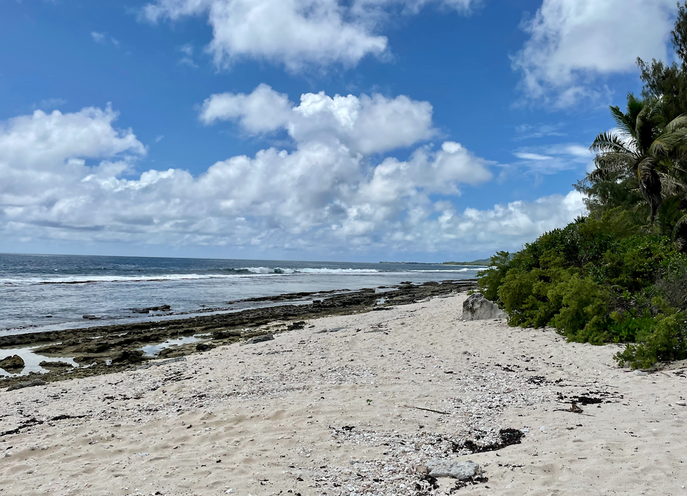 Retour de POLYNÉSIE : HUAHINE (1) - PATOUTAILLE