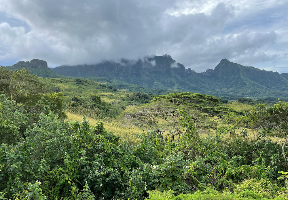 Retour de POLYNÉSIE : RAIATEA (1) - PATOUTAILLE