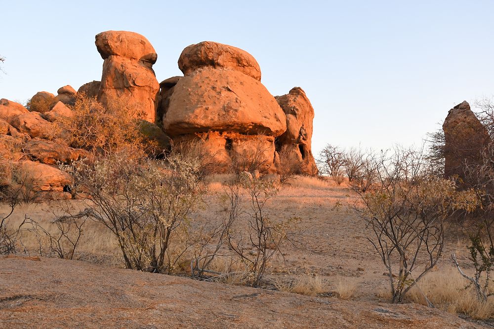 Re: Retour rapide d'un voyage magnifique en Namibie - Botswana (Chobe) - Chutes Victoria - fifi27