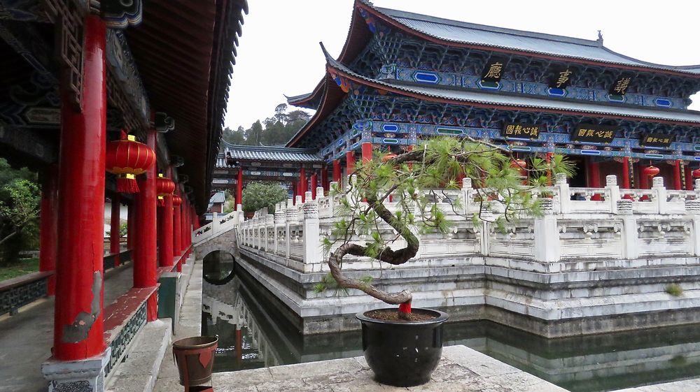 Le triangle Naxi : Lijiang (suite). - PATOUTAILLE