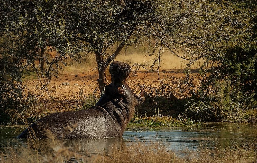 Re: Namibie Juin 2018 - Un Voyage Fabuleux ( suite & fin) - Iznogoed