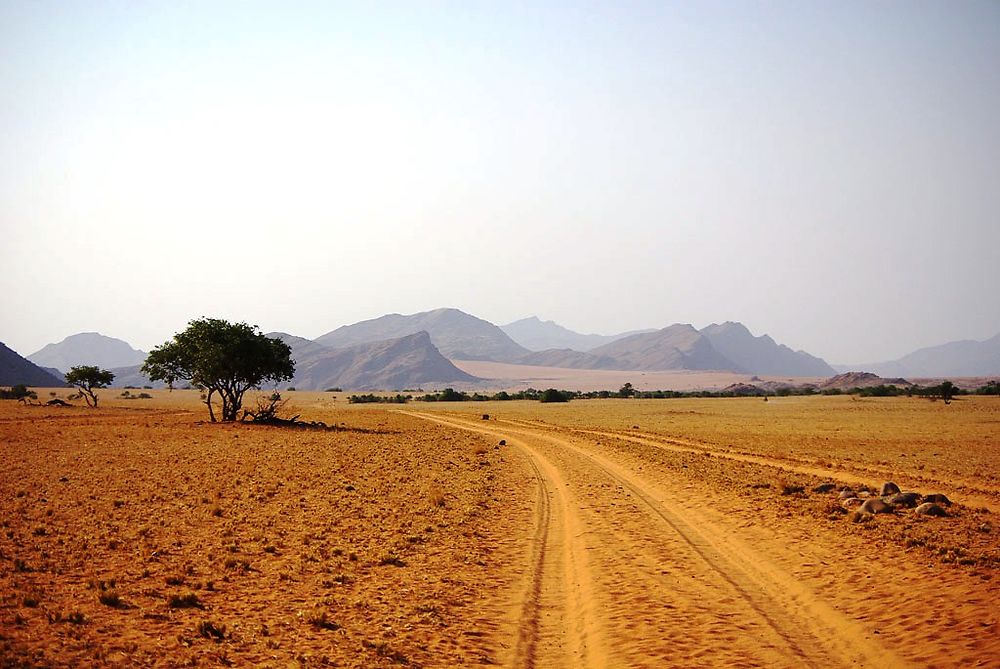 Re: Namibie Juin 2018 - Un Voyage Fabuleux ( suite & fin) - Iznogoed