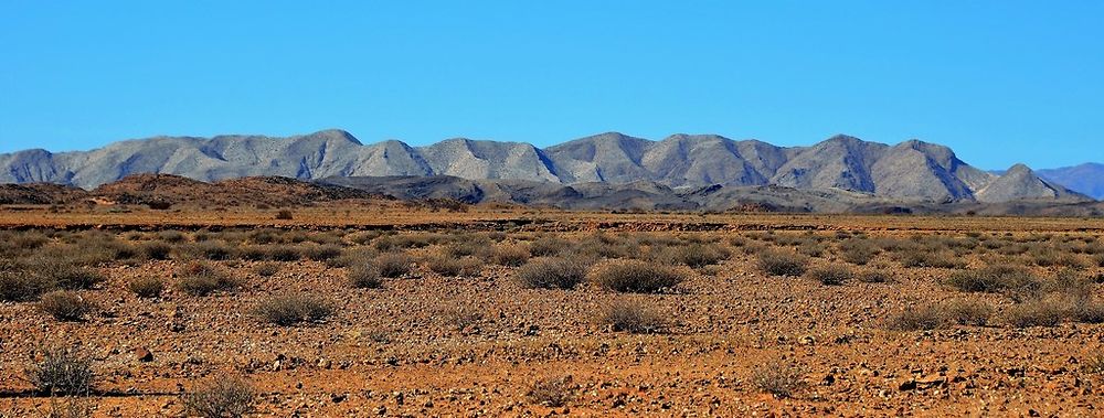 Re: Namibie Juin 2018 - Un Voyage Fabuleux ( suite & fin) - Iznogoed