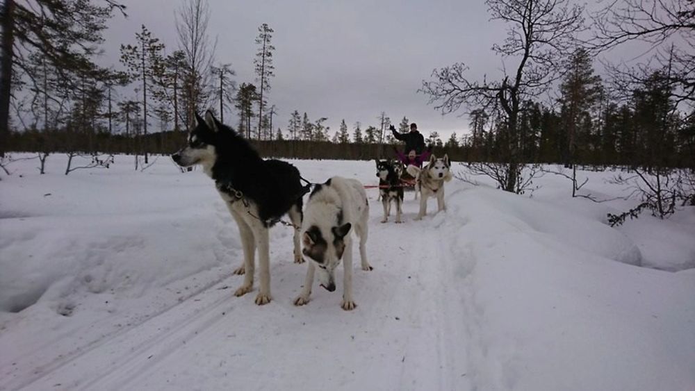 Voyage multi-activités en Laponie finlandaise chez l'habitant - Joh et Max