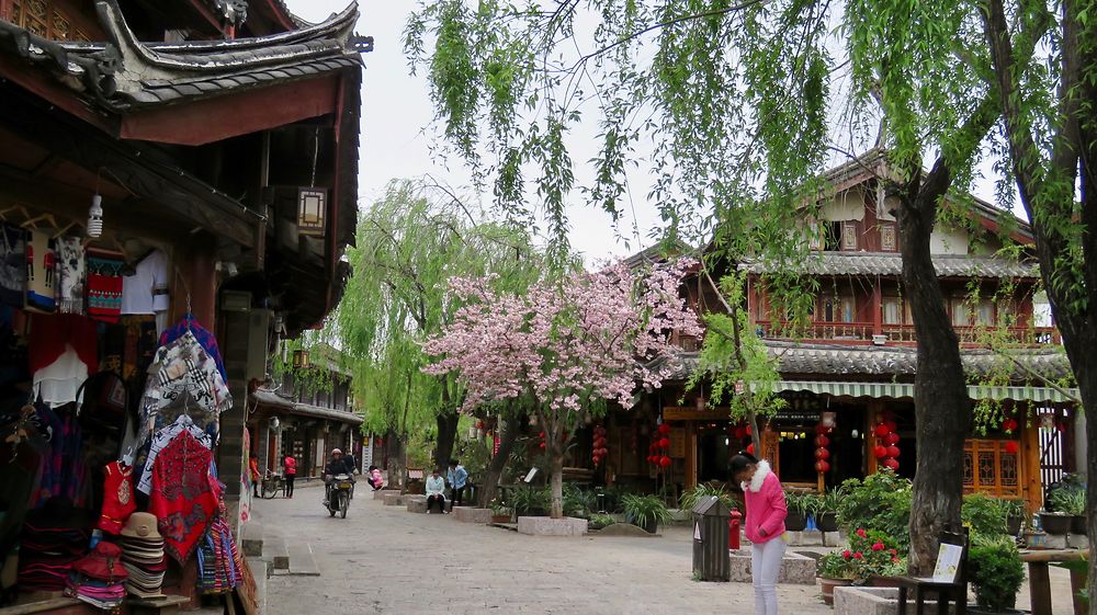 Le triangle Naxi : Lijiang (suite). - PATOUTAILLE