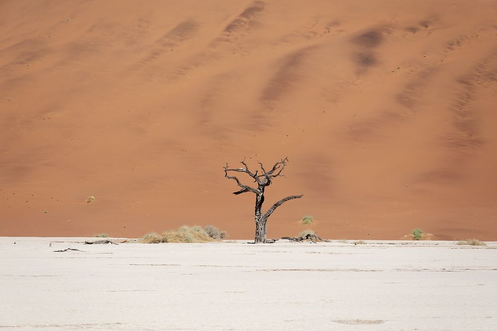 Re: Retour rapide d'un voyage magnifique en Namibie - Botswana (Chobe) - Chutes Victoria - fifi27