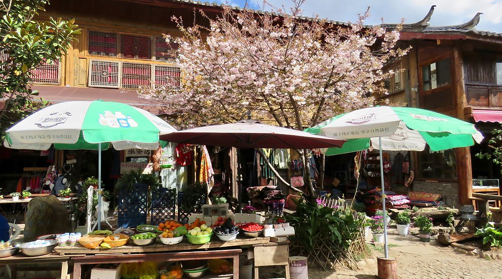 Le triangle Naxi : Baïsha, Shuhe, Lijiang. (2) - PATOUTAILLE