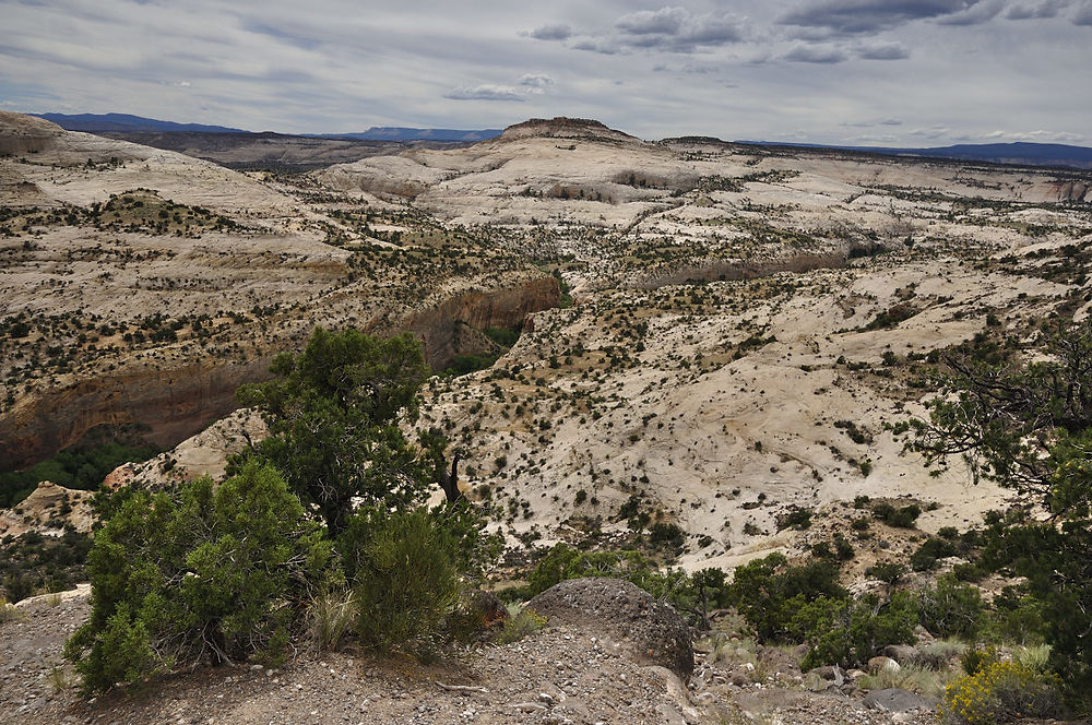 Jeudi 6 août : (suite) Scenic Byway 12 – Bryce Canyon - darth