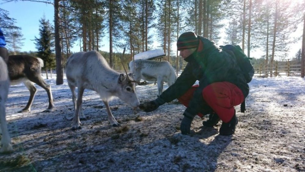 Voyage multi-activités en Laponie finlandaise chez l'habitant - Joh et Max