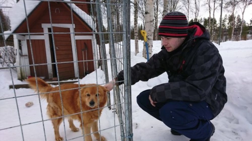 Voyage multi-activités en Laponie finlandaise chez l'habitant - Joh et Max