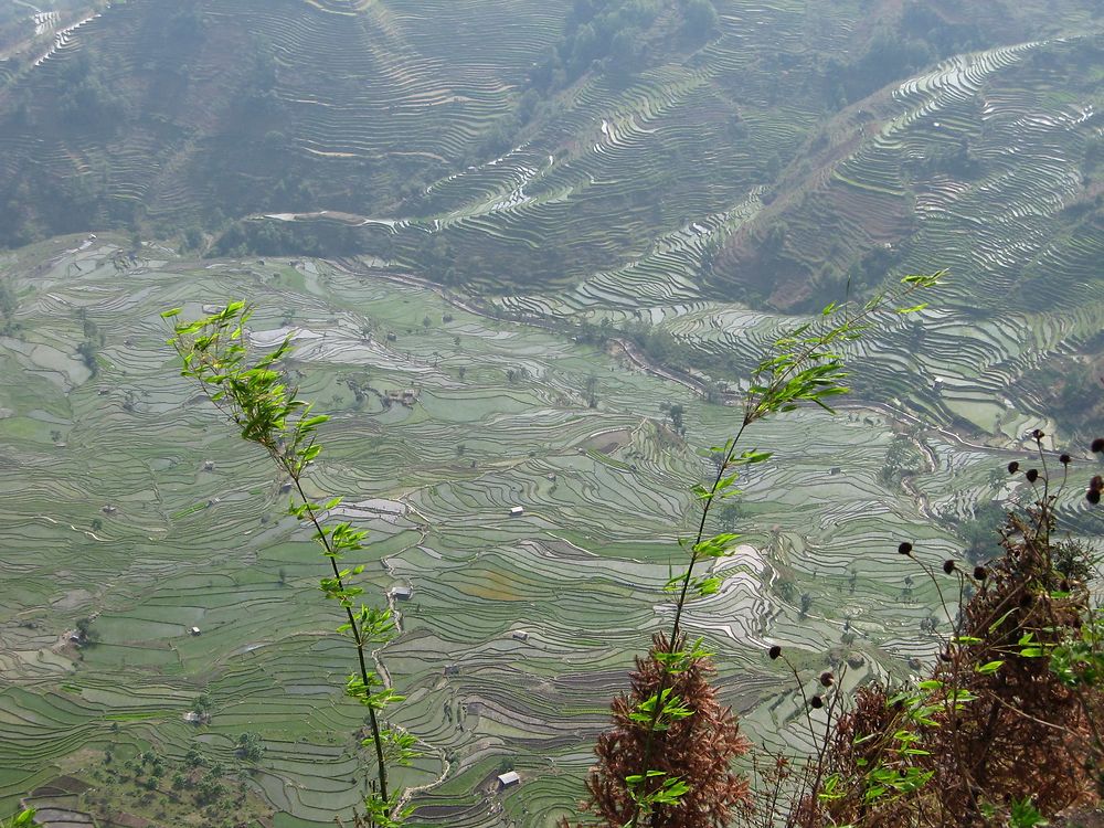 Re: Climat et itinéraire Yunnan juin (Chine) - yensabai