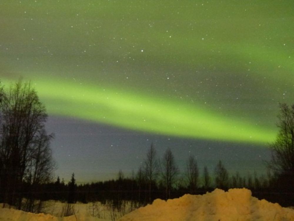 Voyage multi-activités en Laponie finlandaise chez l'habitant - Joh et Max