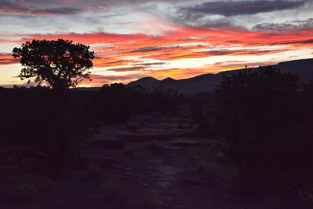 Mercredi 5 août : (suite) Capitol Reef - darth