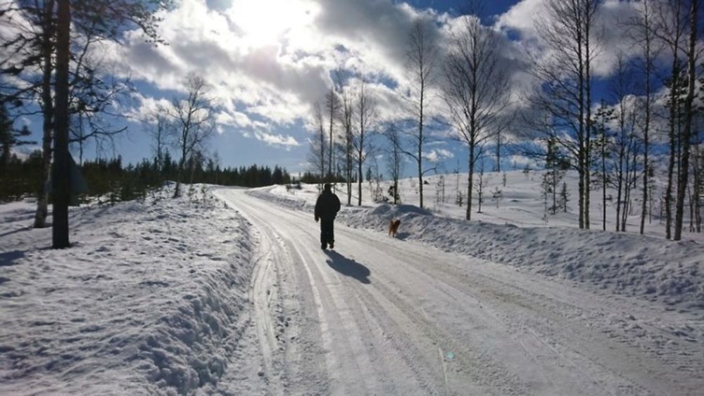 Voyage multi-activités en Laponie finlandaise chez l'habitant - Joh et Max